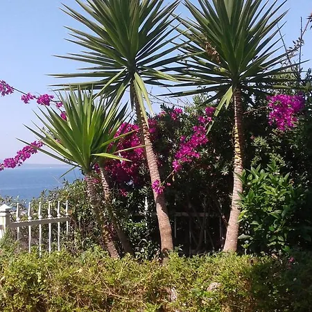 Apartment On The Sarande